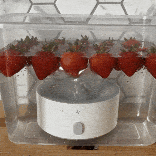 Puriproduce (Official Retailer) [year]